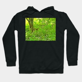 Still Standing Hoodie